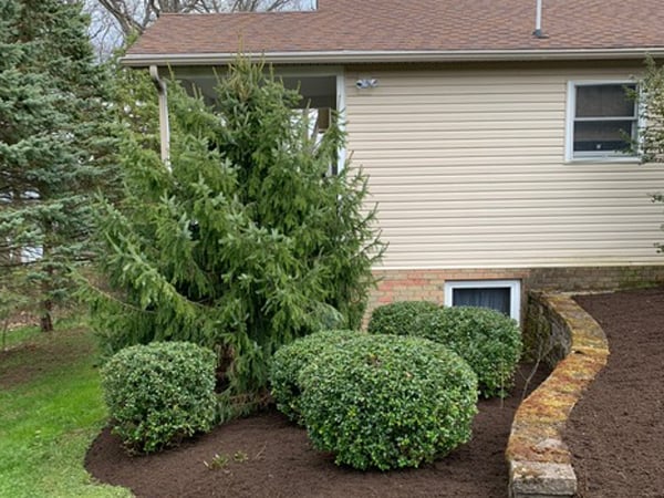 Best Garden Care In Penn Yan, NY