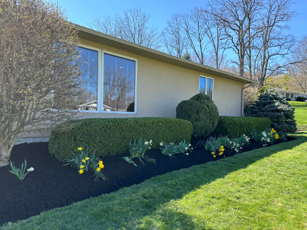 Stamped Concrete Geneva, NY